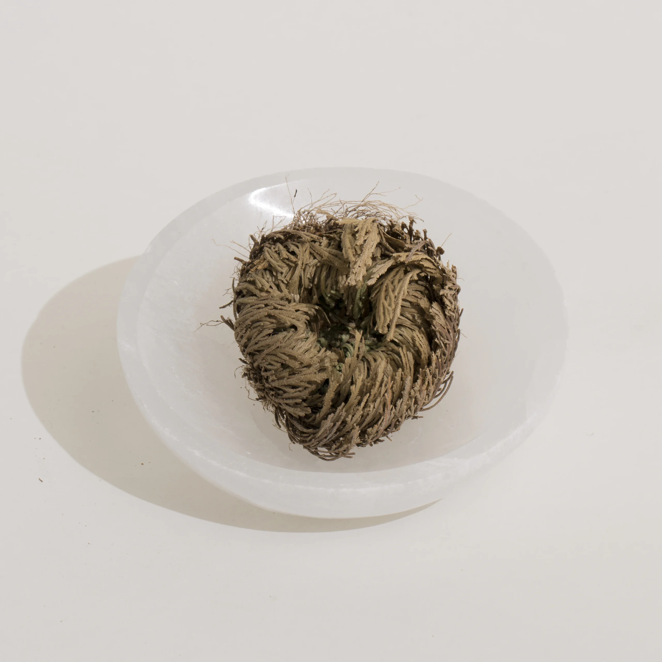 Kitchen Ritual - Imagem 10