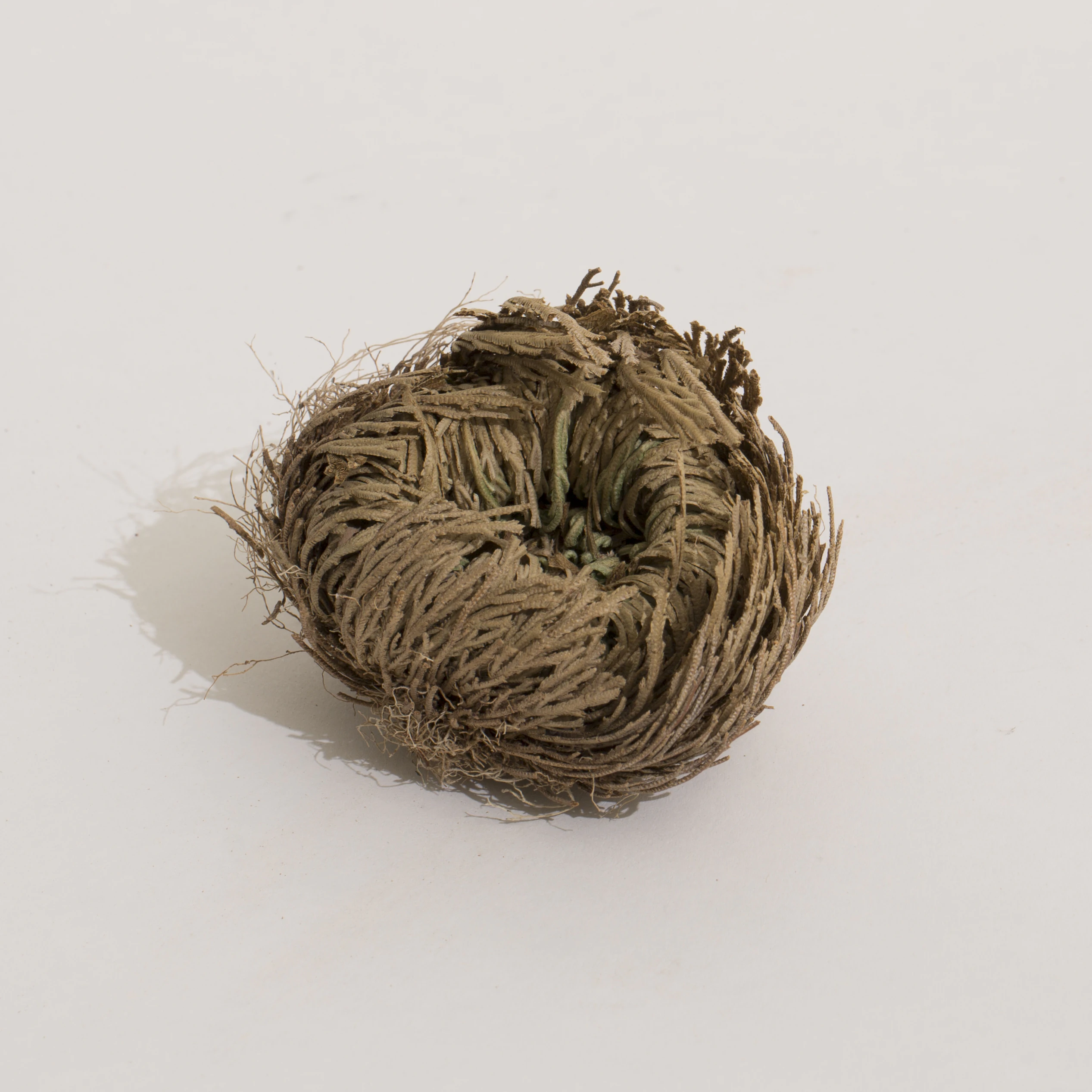 Kitchen Ritual - Imagem 7